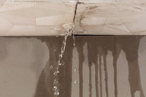 Professional Structural Drying technician working in Moundsville, WV